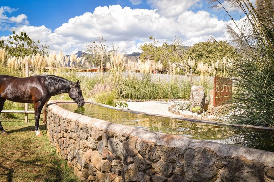 Jardin para Eventos en Tepoztlán: Xolatlaco