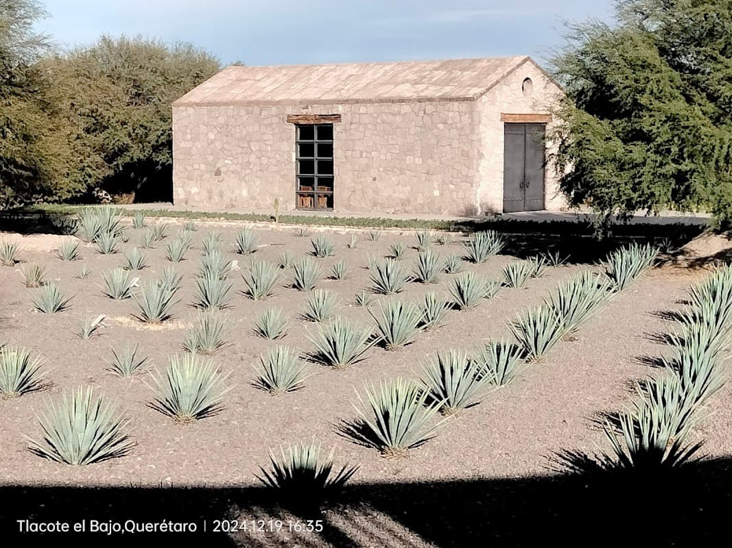 Hacienda la Bartola
