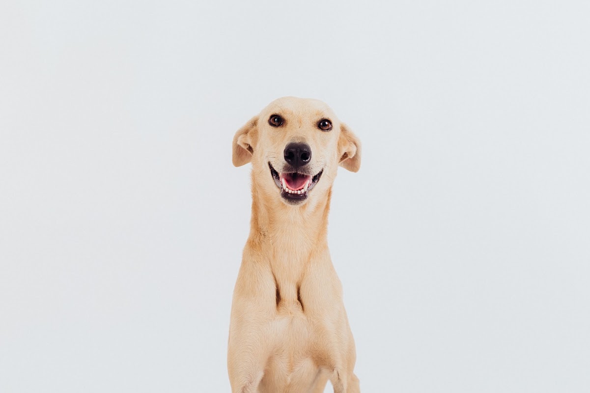 Nubia Guillermo Fotografía