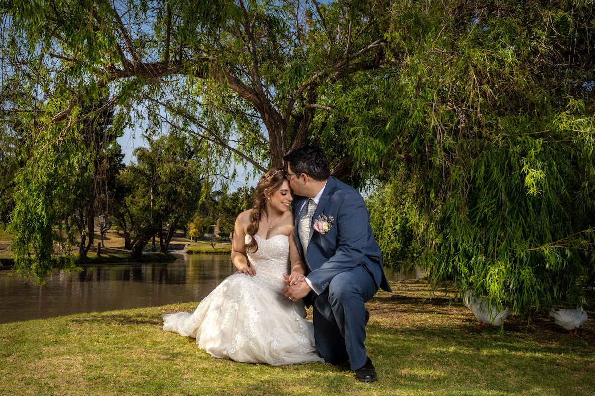 Julia Wedding Planner