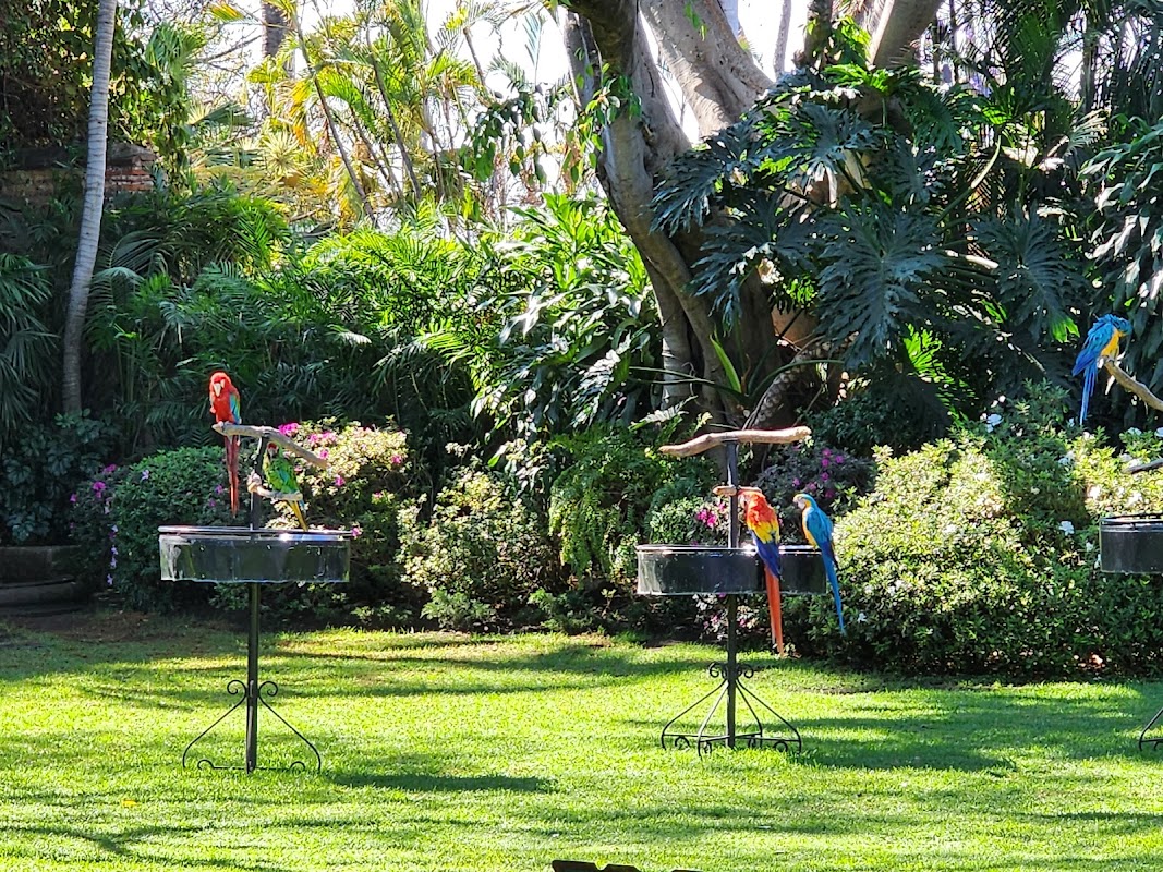 Casanueva by Las Mañanitas