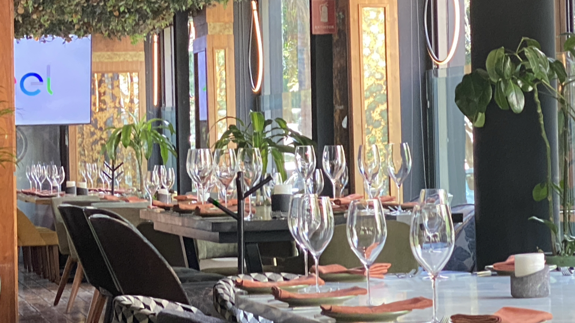 Barman y meseros CDMX