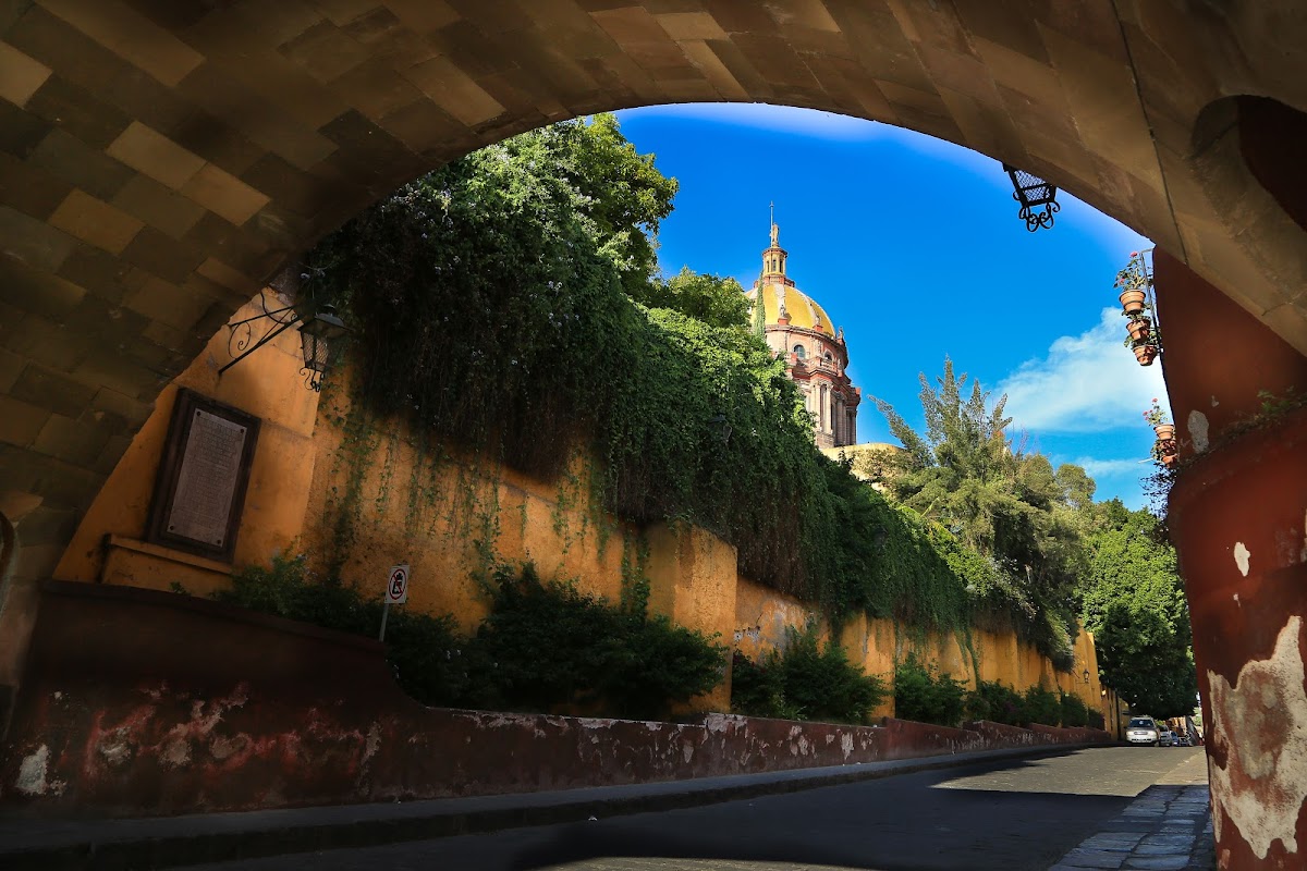 Elite Photo and Gallery