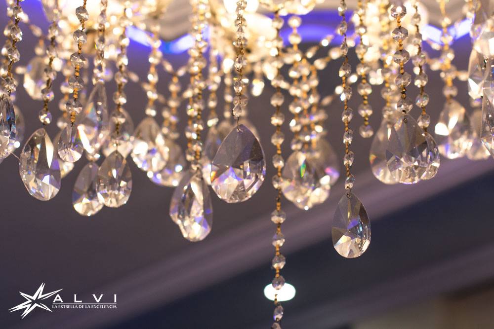 SALONES DE FIESTAS ALVI