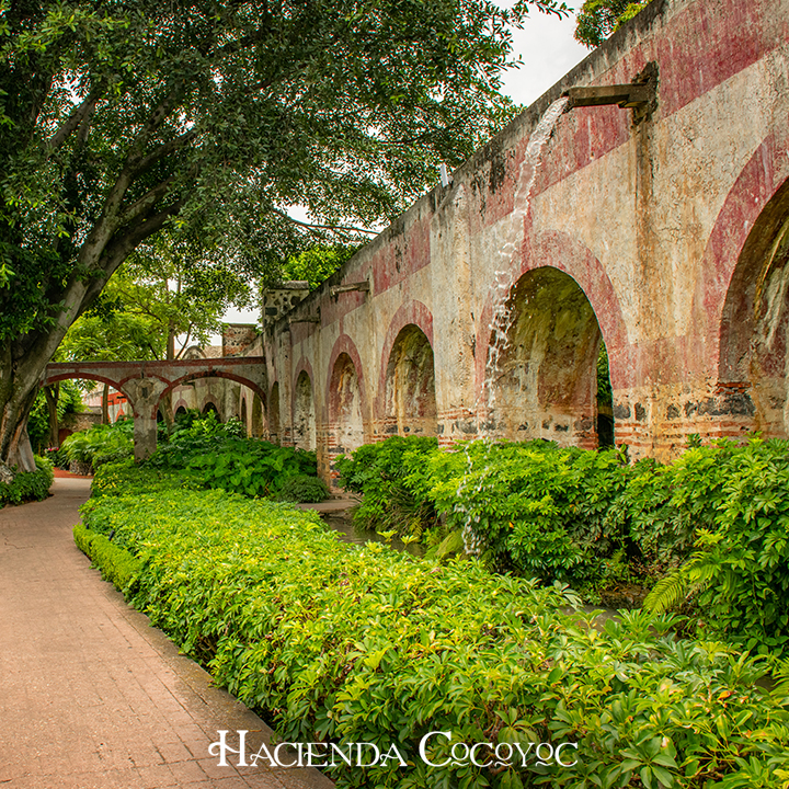 Hacienda Cocoyoc Hotel